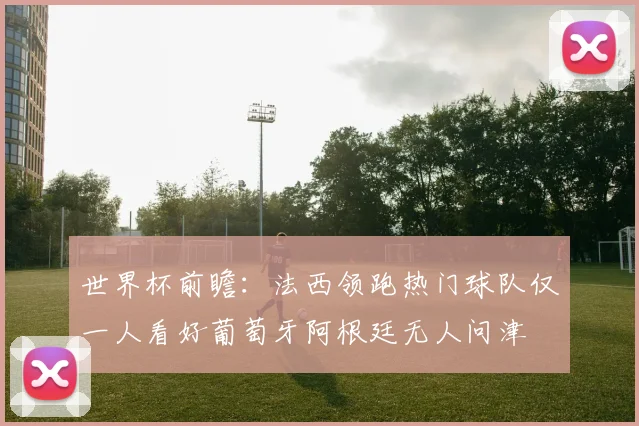 世界杯前瞻：法西领跑热门球队仅一人看好葡萄牙阿根廷无人问津