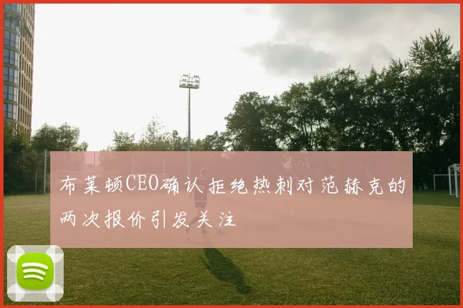 布莱顿CEO确认拒绝热刺对范赫克的两次报价引发关注