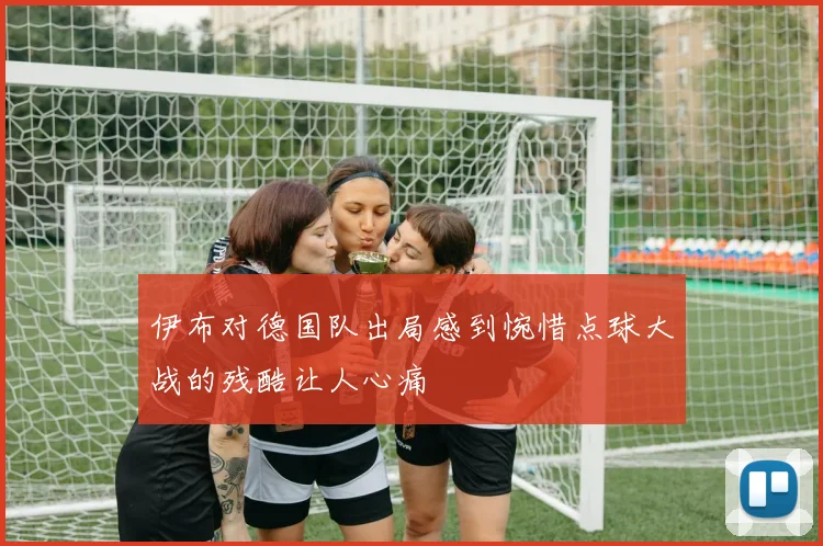 伊布对德国队出局感到惋惜点球大战的残酷让人心痛